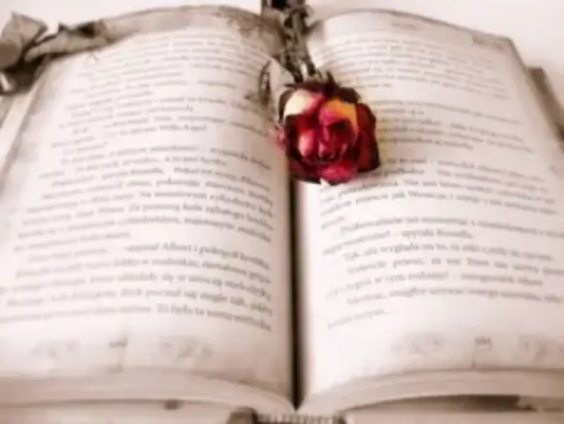 The Journey from Manuscript to Published Book